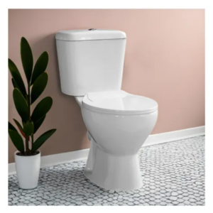 two piece toilet
