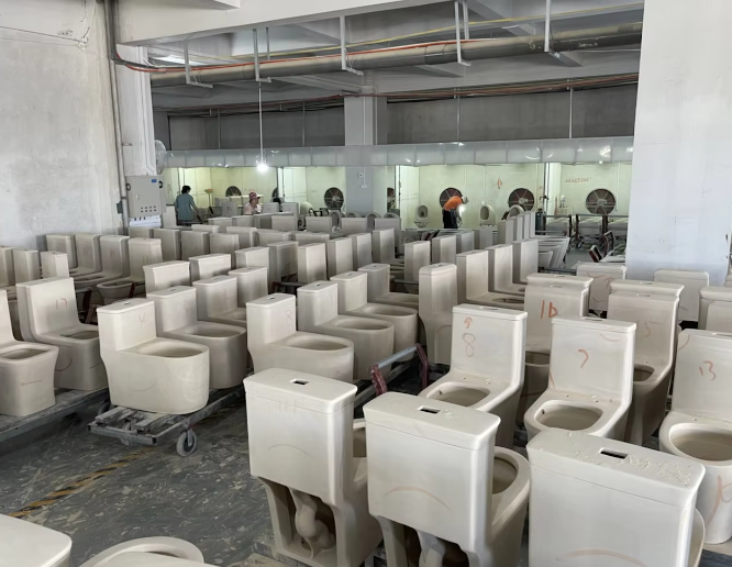 one piece toilets mold