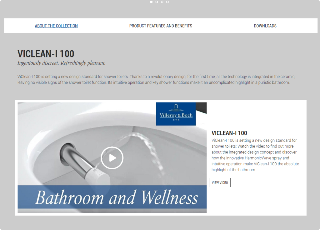 viclean i 100