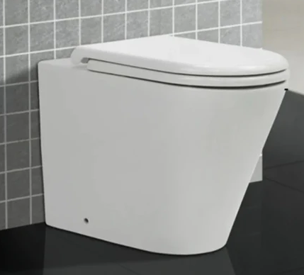 common problems with back to wall toilets