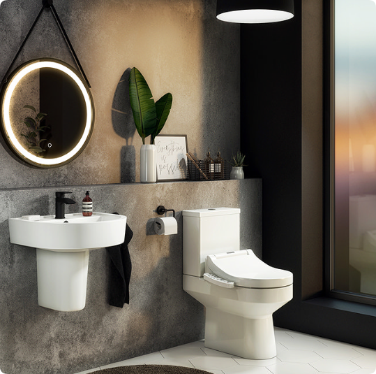 modern and traditional elements toilets and bidets