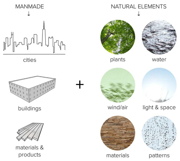 biophilic design