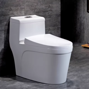 Modern-Water-Saving-Porcelain-Inodoro-One-Piece-Toilet-Bowl-Hot-Sale-USA-for-Hotels-Floor-Mounted-Ceramic-Bathroom-Siphon-Cupc