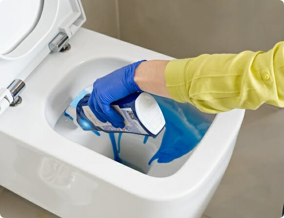 regularly clean the toilet bowl