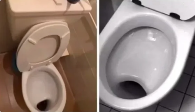 dutch toilet