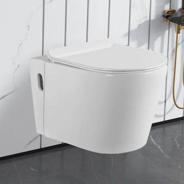 danube wall hung toilet